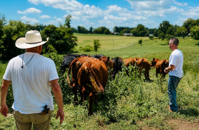 Grand View Farm