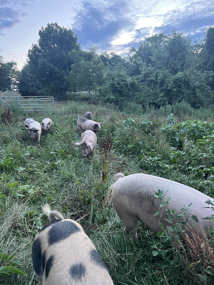 Grand View Farm