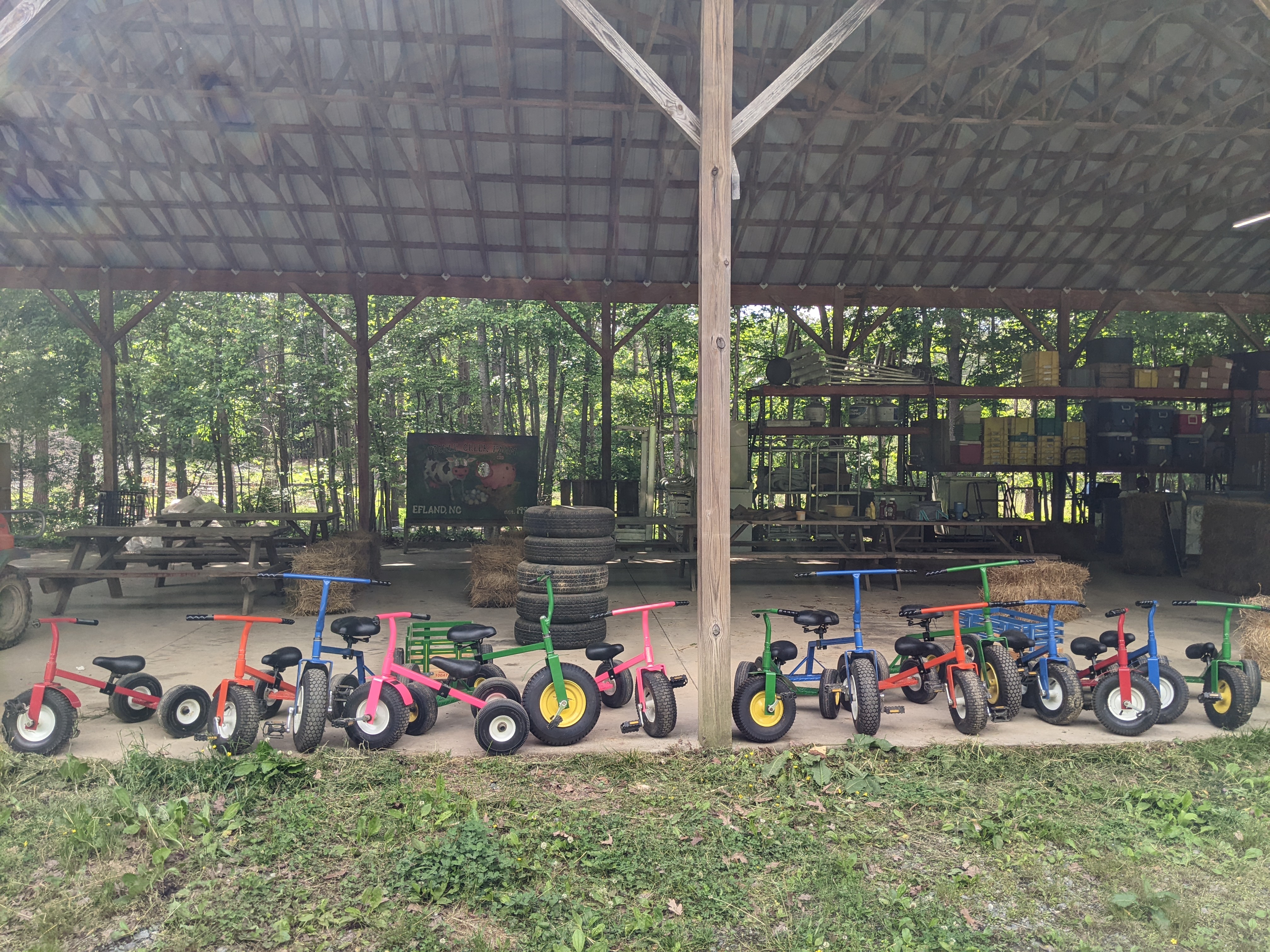 Trikes for Kids & Adults!