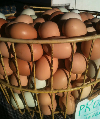 Eggs!