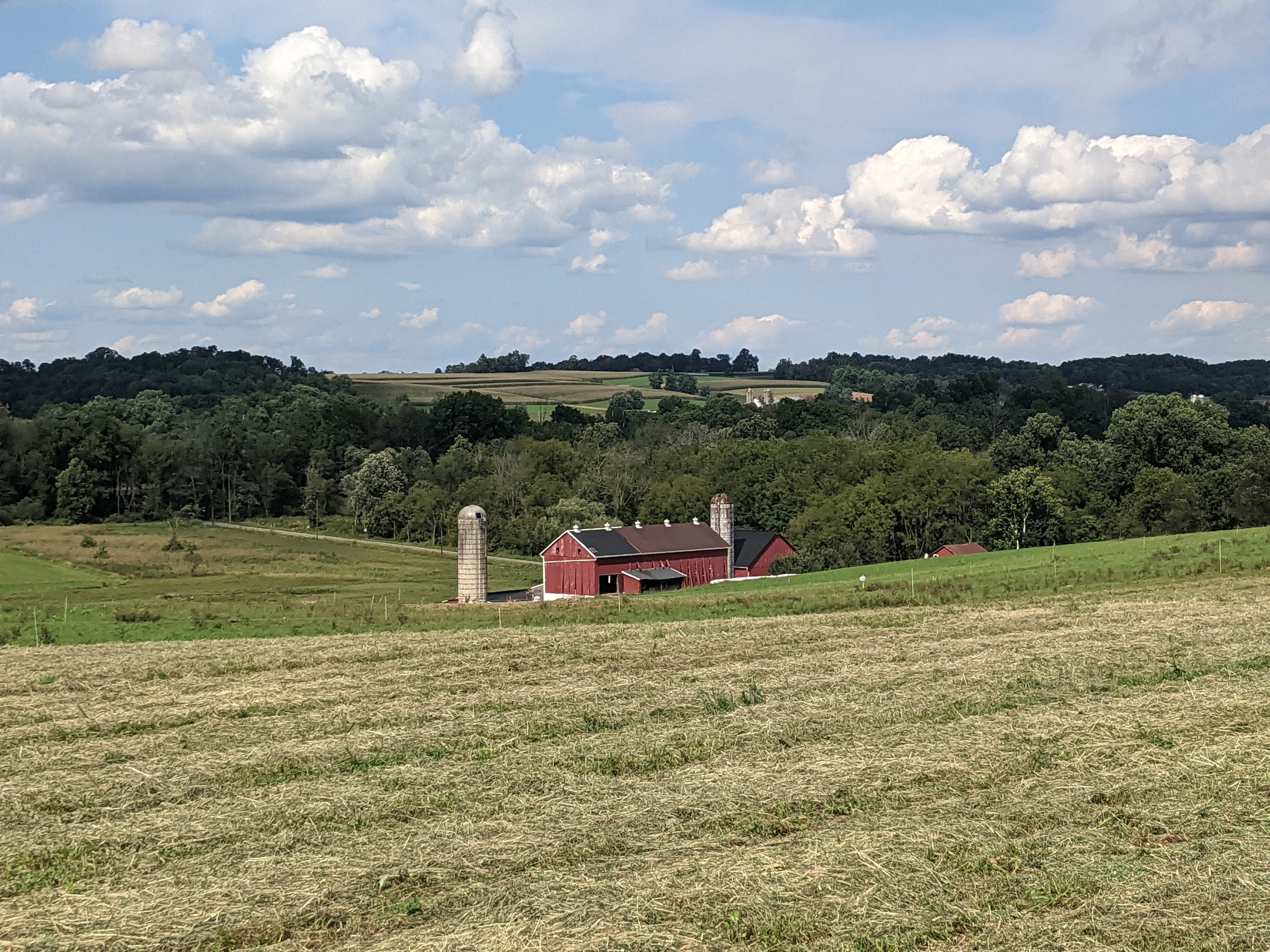 A picture of one of our outbuildings from our pasture.