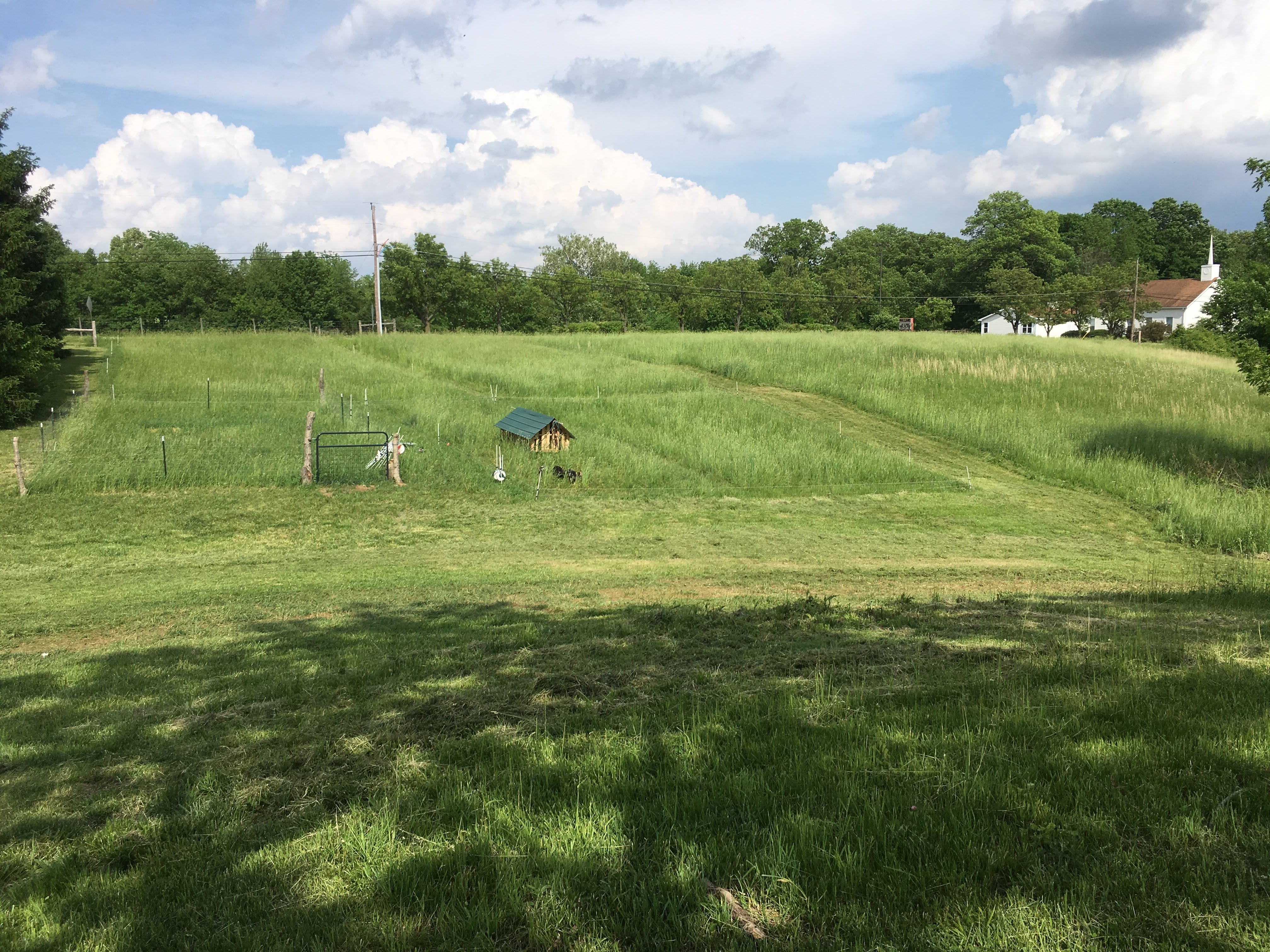 Beautifield Farm