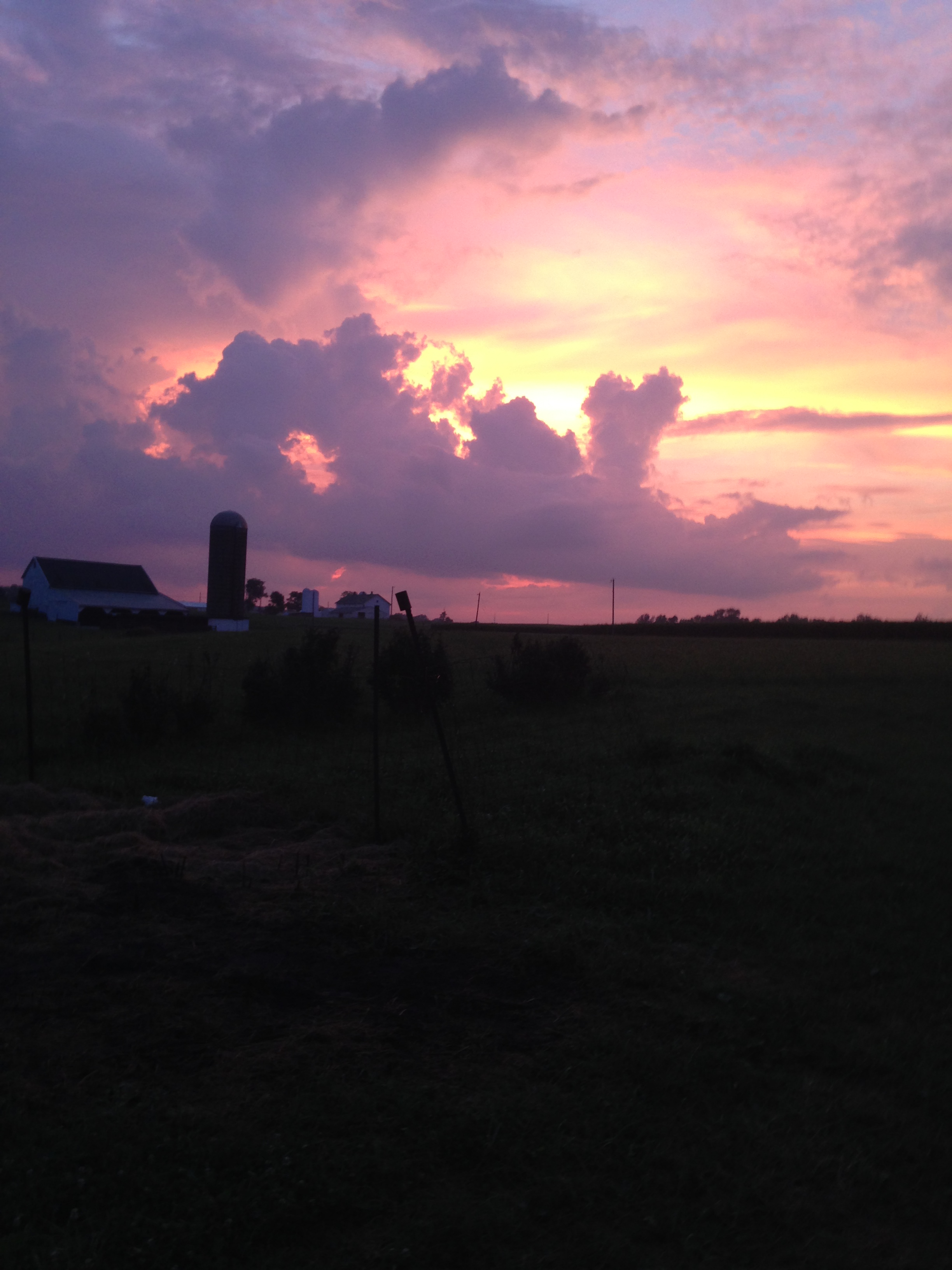 Beautifield Farm