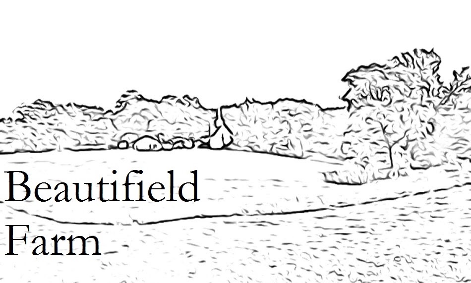 Beautifield Farm logo