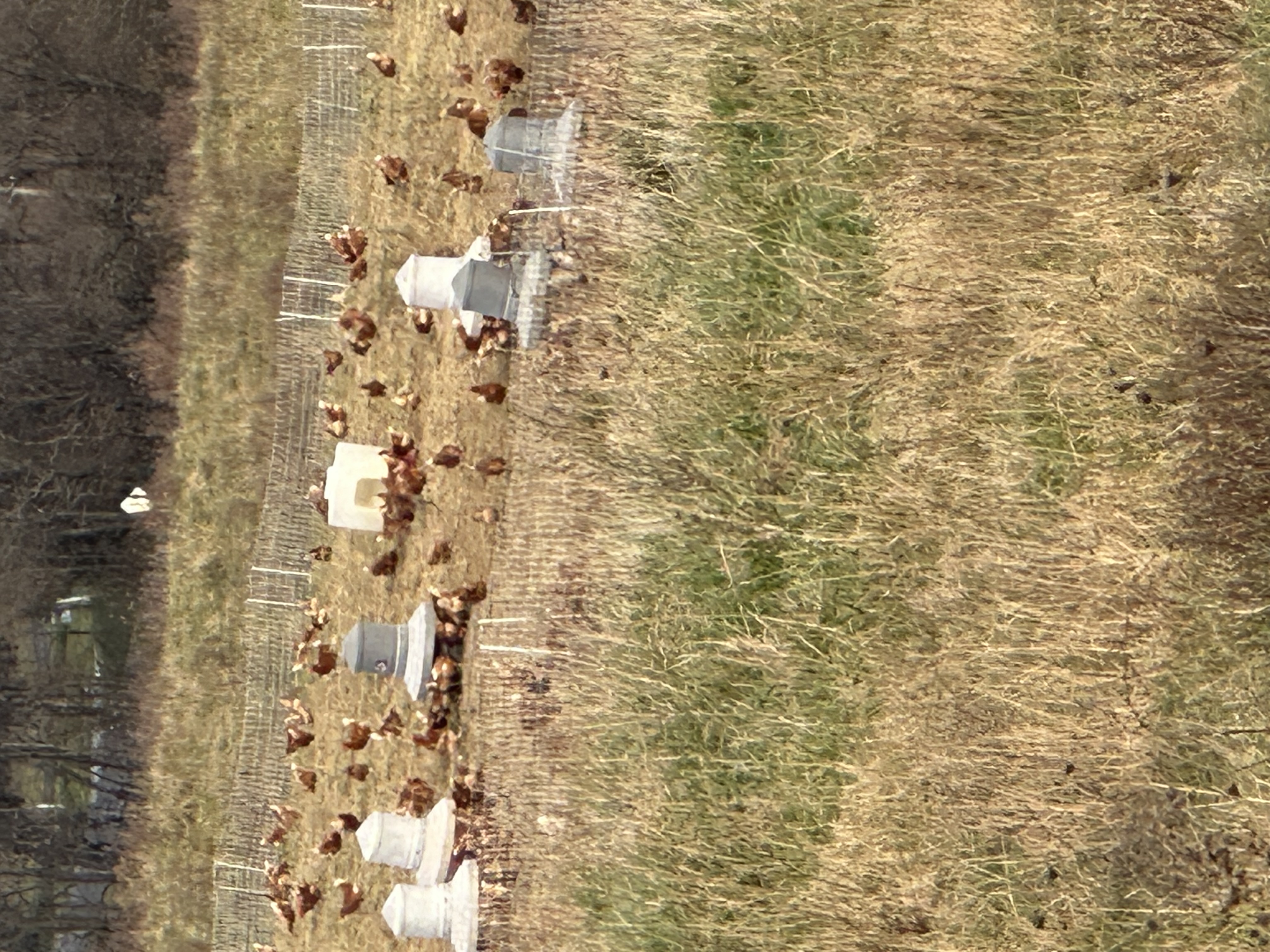 Smith Meadows Meats