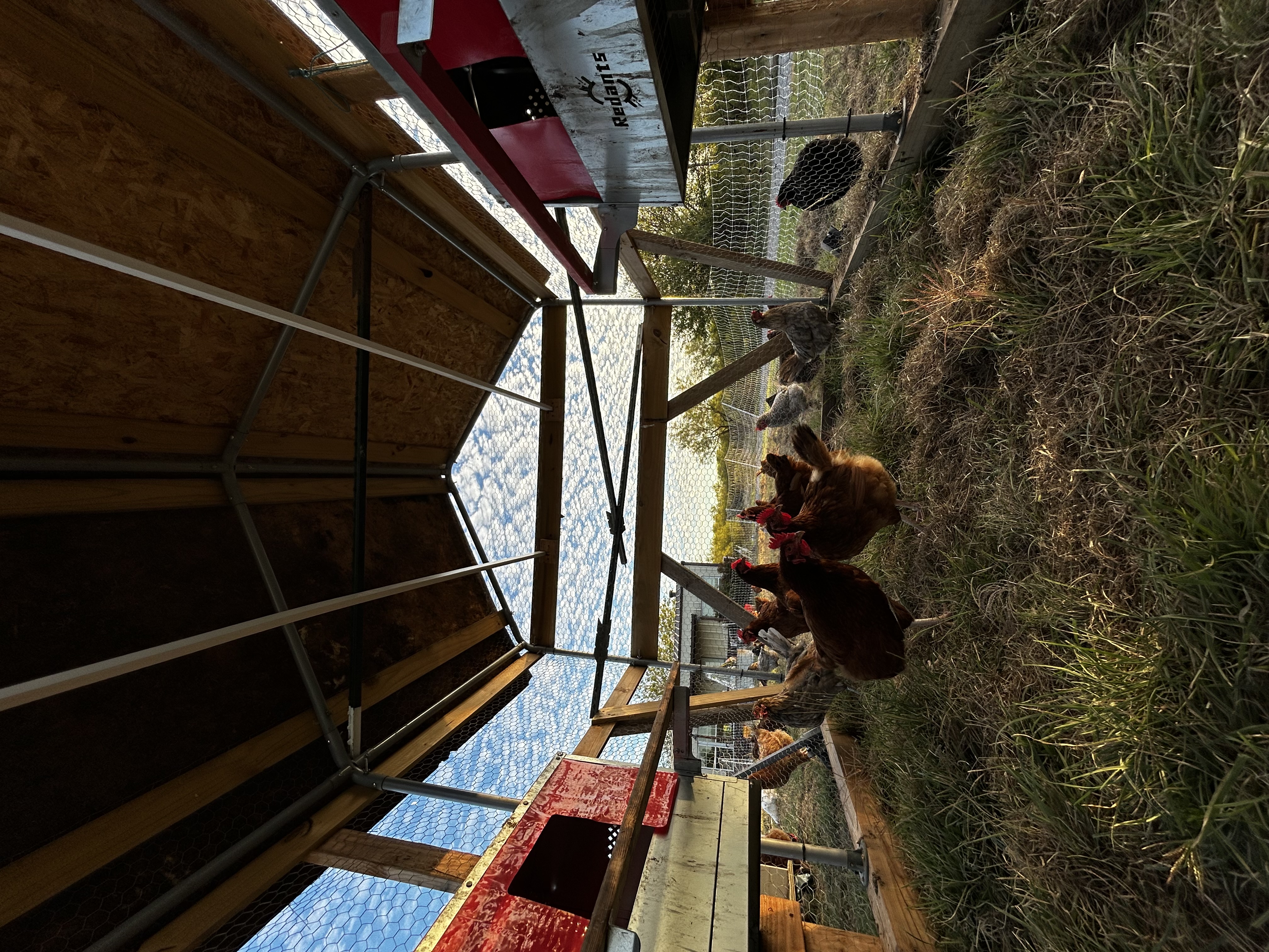 Paradox Farms
