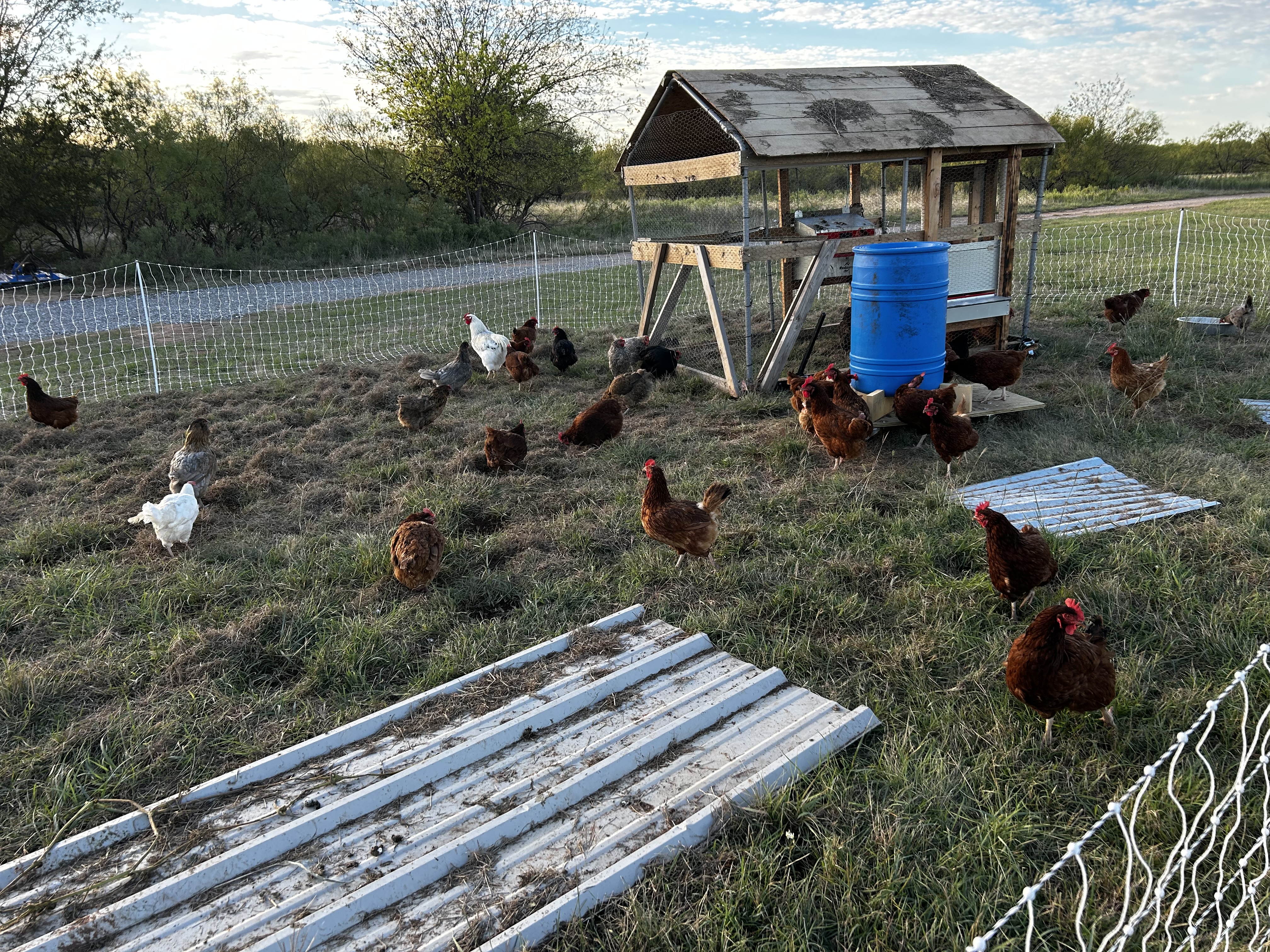 Paradox Farms
