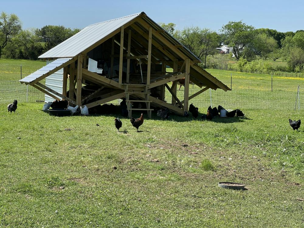 Chickenfield Farm