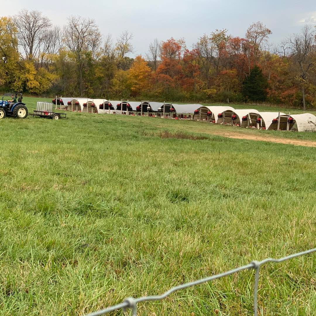 Grass Powered Meats